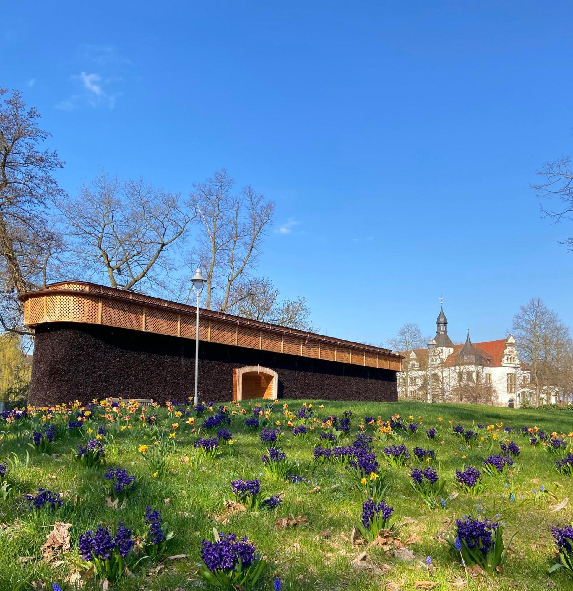 Kurhotel Bad Schmiedeberg Bagian luar foto